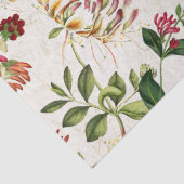 Kolibri-Vogel-Geißblatt-Blumen-Seidenpapier Seidenpapier (Detail)