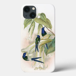 Kolibri-Vögel iPhone 6 Fall 13 Hülle