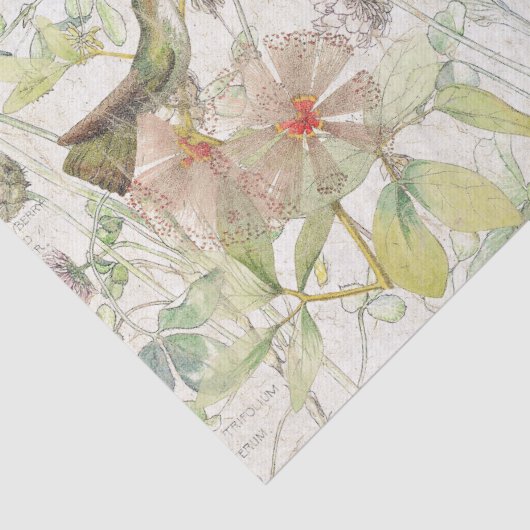 Kolibri-Vogel-Klee-Blumen-Seidenpapier Seidenpapier (Detail)