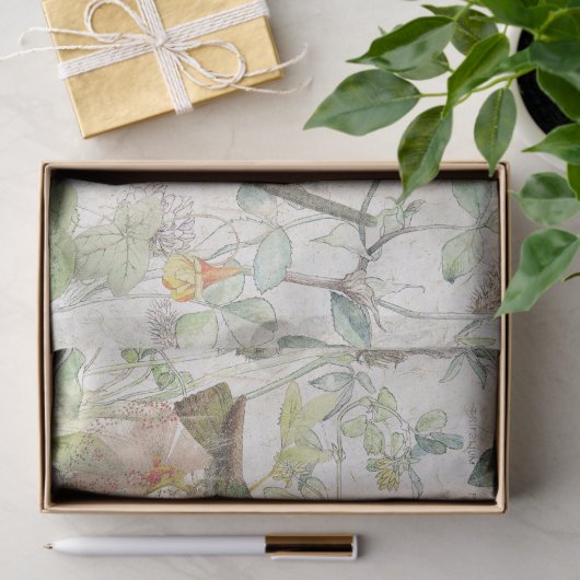 Kolibri-Vogel-Klee-Blumen-Seidenpapier Seidenpapier (Geschenk)