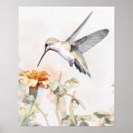 Kolibri Vogel Kunst Poster (Vorne)