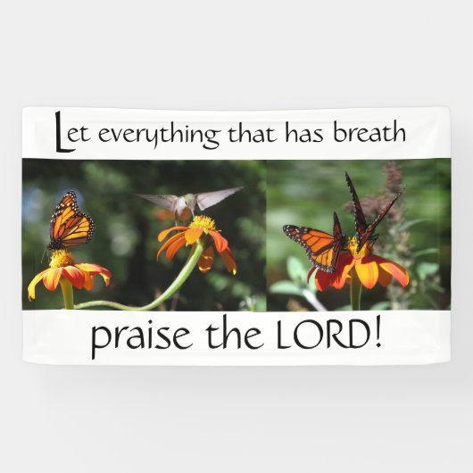 Kolibri-Vogel-Monarch-Lob der Lord Christian Banner (Horizontal)