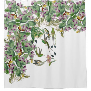 Kolibri-Vogel-Orchideen-Blumen-Duschvorhang Duschvorhang