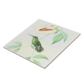 Kolibri-Vogel-Tier-Blumen-Blumentiere Fliese (Seite)