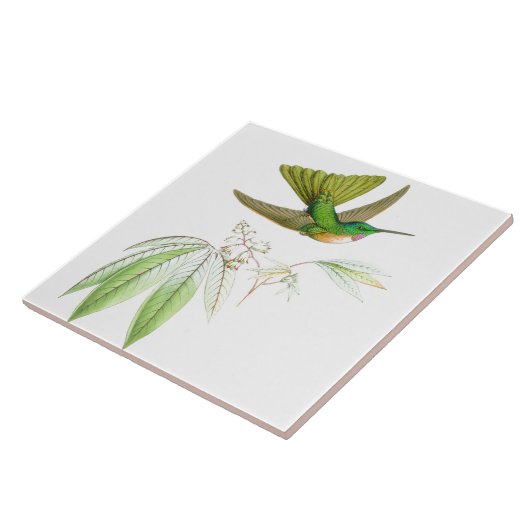 Kolibri-Vogel-Tier-Blumen-Blumentiere Fliese (Seite)