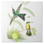 Kolibri-Vogel-Tier-Blumen-Blumentiere Fliese (Vorderseite)