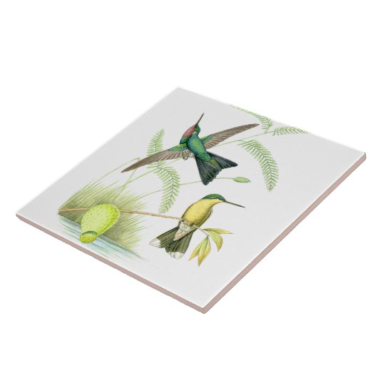 Kolibri-Vogel-Tier-Blumen-Blumentiere Fliese (Seite)