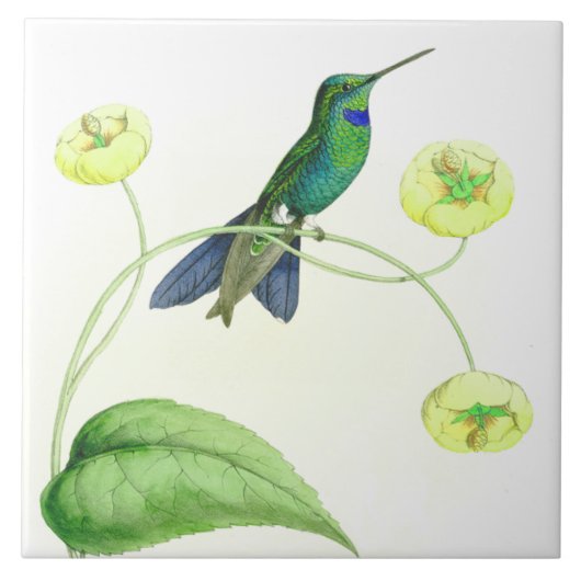 Kolibri-Vogel-Tier-Blumen-Blumentiere Fliese (Vorderseite)