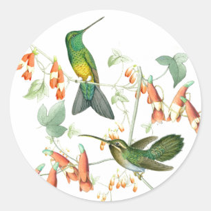 Kolibri-Vogel-Tier-Blumen-Tiere mit Blumen Runder Aufkleber