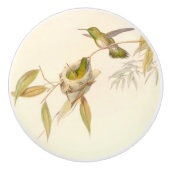 Kolibri-Vogel-Tier-Nest-Garten-Griff Keramikknauf (Vorderseite)