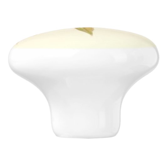 Kolibri-Vogel-Tier-Nest-Garten-Griff Keramikknauf (Seitenansicht)