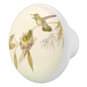 Kolibri-Vogel-Tier-Nest-Garten-Griff Keramikknauf (Rechts)