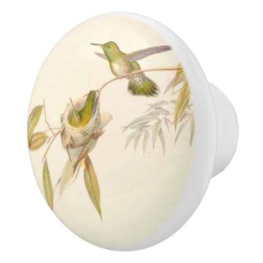 Kolibri-Vogel-Tier-Nest-Garten-Griff Keramikknauf (Rechts)