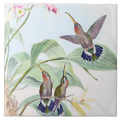 Kolibri-Vogel-Tier-Tier-Blumen-Fliese Fliese (Vorderseite)