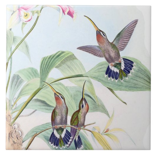 Kolibri-Vogel-Tier-Tier-Blumen-Fliese Fliese (Vorderseite)