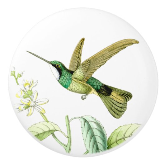 Kolibri-Vogel-Tier-Tier-Blüten-Griff Keramikknauf (Vorderseite)