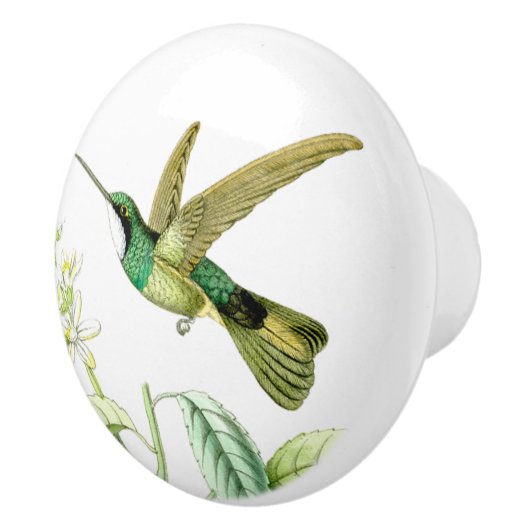 Kolibri-Vogel-Tier-Tier-Blüten-Griff Keramikknauf (Rechts)