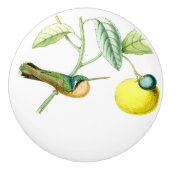 Kolibri-Vogel-Tier-Tier-Frucht-Griff Keramikknauf (Vorderseite)