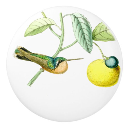 Kolibri-Vogel-Tier-Tier-Frucht-Griff Keramikknauf (Vorderseite)