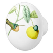 Kolibri-Vogel-Tier-Tier-Frucht-Griff Keramikknauf (Rechts)