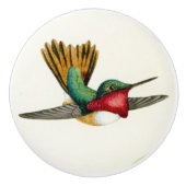 Kolibri-Vogel-Tier-Tier-Griff Keramikknauf (Vorderseite)