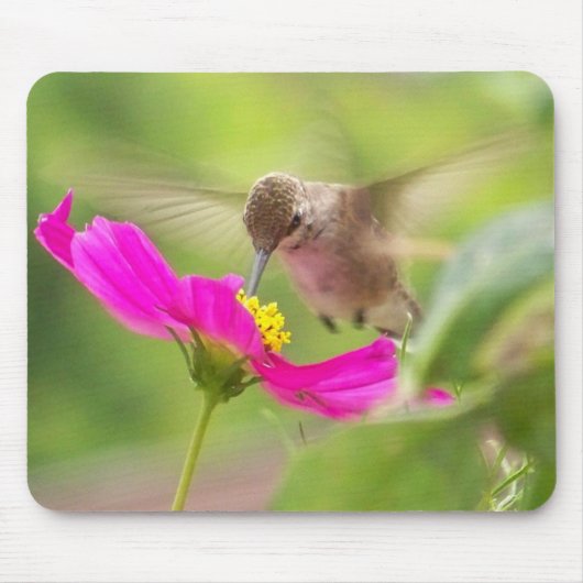 Kolibri-Vogel-Tier-Tier mit Blumen Mousepad (Vorne)