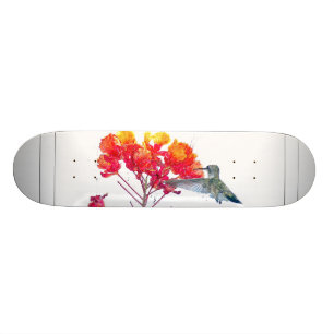 Kolibri-Vogel-Tier-Tier mit Blumen Skateboard
