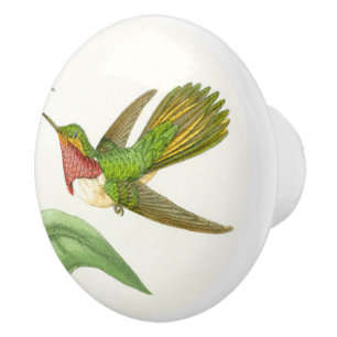 Kolibri-Vogel-Tiertier-Griff Keramikknauf