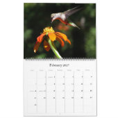 Kolibri-Vogel-u. Blumen-Blumenkalender 2019 Kalender (Feb 2027)