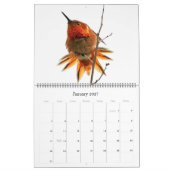 Kolibri-Vogel-u. Blumen-Blumenkalender 2019 Kalender (Jan 2027)