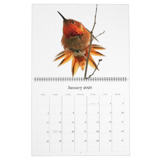 Kolibri-Vogel-u. Blumen-Blumenkalender 2019 Kalender (Jan 2026)