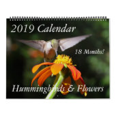 Kolibri-Vogel-u. Blumen-Blumenkalender 2019 Kalender (Titelbild)