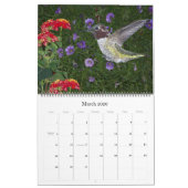 Kolibri-Vogel-u. Blumen-Blumenkalender 2019 Kalender (Mär 2026)