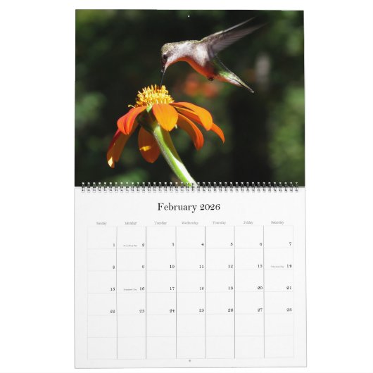 Kolibri-Vogel-u. Blumen-Blumenkalender 2019 Kalender (Feb 2026)