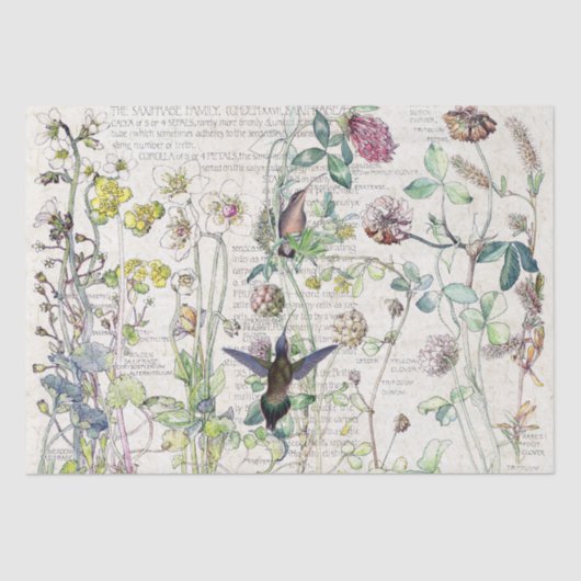 Kolibri-Vogel-Wildblume-Blumen-Seidenpapier Seidenpapier (Vorderseite)