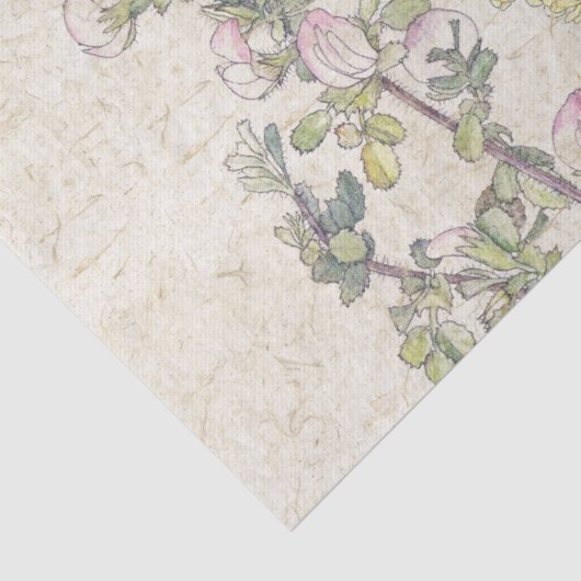 Kolibri-Vogel-Wildblume-Blumen-Seidenpapier Seidenpapier (Detail)