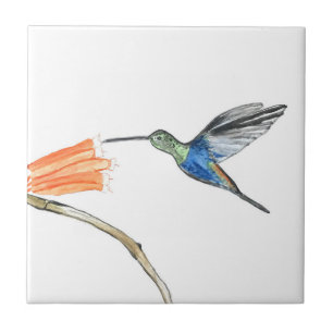 Kolibri Vogel Wildlife Aquarell Bunt  Fliese