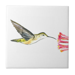 Kolibri Vogel Wildlife Aquarell Bunt Fliese