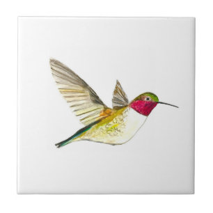 Kolibri Vogel Wildlife Aquarell Farbige Fliese