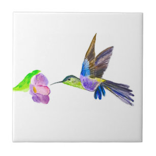 Kolibri Vogel Wildlife Aquarell Farbige Fliese