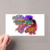 Kolibriliebe Acryleinladungen (Insitu (Handheld))