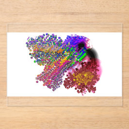 Kolibriliebe Acryleinladungen