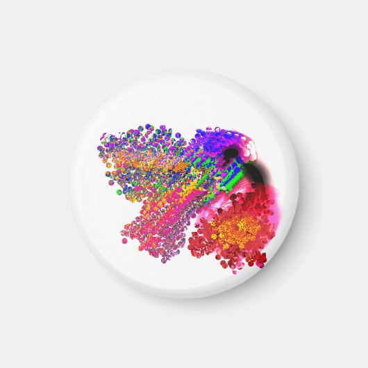 Kolibriliebe Magnet (Vorne)