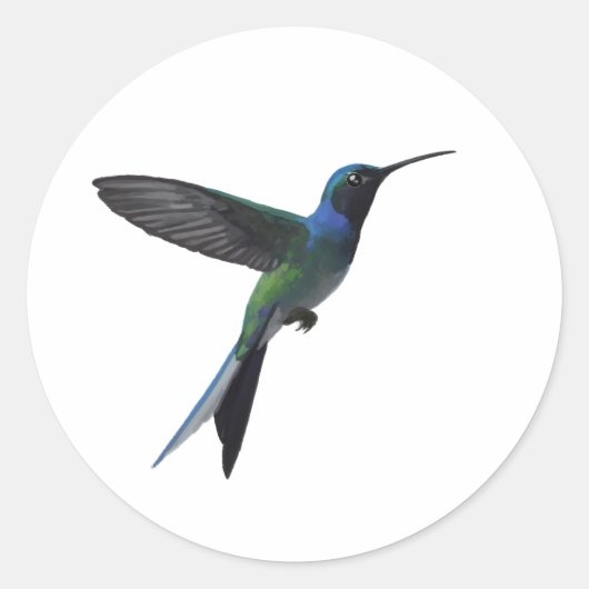 Kolibriliebhaber Runder Aufkleber (Vorderseite)