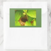 Kolibrinest Rechteckiger Aufkleber (Tasche)