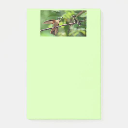 Kolibripost-itanmerkungen Post-it Klebezettel (Vorderseite)