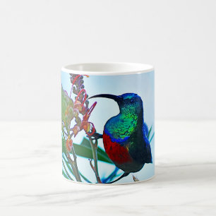 Kolibrirubin throated kaffeetasse