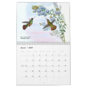 Kolibris 2014 Johns Goulds Kalender (Mär 2027)