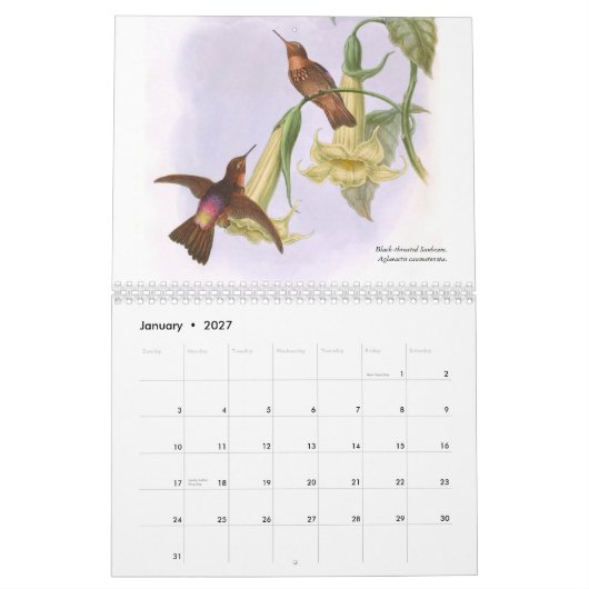 Kolibris 2015 Johns Goulds Kalender (Jan 2027)