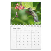 Kolibris 2020 kalender (Jan 2027)
